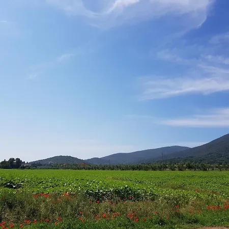 Rovereto 奥贝里塞